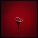 Bloody Rose