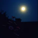 Everything (Just for You)