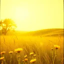 Eternity in sunshine.