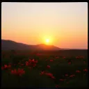 Nature Views