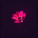 Broken Blossoms