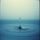 海里的一滴 “A Drop in the Ocean”