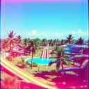 Tropical Thrills