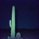 Lágrimas del Desierto 3