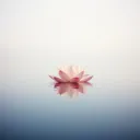 Forgiveness mediation