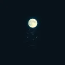 Lunar Shadows