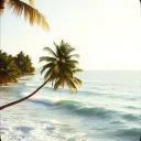 Sonne und Meer