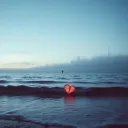 Wish you had  told me