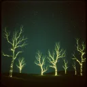 Mensagem das estrelas