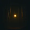 Guiding light in the darkness