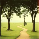 Purposeful Patience