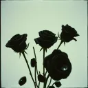 Heart Thief (Official Release)
