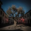Fumo di Carta