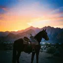 We Ride at Dawn