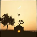 Dawn of Salvation
