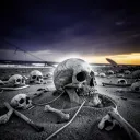 Beachcomber’s Boneyard