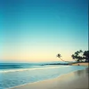 Island of Your Love
