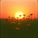 The Sun