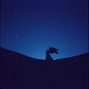 Shadows of a Fallen Hero