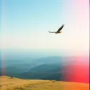 LIKE AN EAGLE