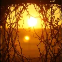 Feeling of Gold