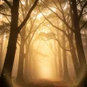 "Harmony in the Light"
