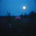 Don't want to be