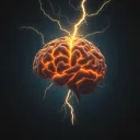War in my head