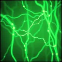 Synapse damage - Hardy