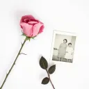 When Life Gives You Roses