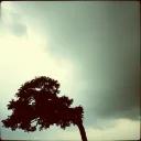 The Shadow's Dance