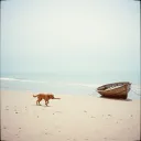 Healers Beach