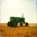 Plow boy