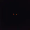 The Beast