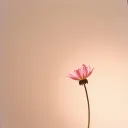 爱你是错吗？