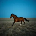 Horse Over Heat