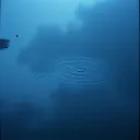Rainy Reflection