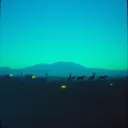 Guardians of the Wild