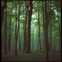 Let Me Go (Understand Me)