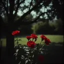 Romantischer Tod
