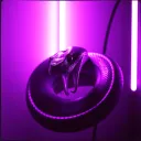 Glimmerjaw