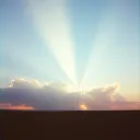The light