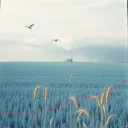 ONE