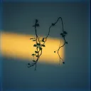 Two Souls Intertwined