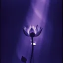 Requiem Nocturne
