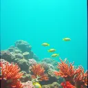 Floating and Diving