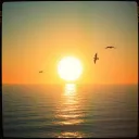 Shine On (Reprise)