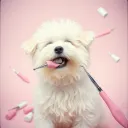 Fluffles On A Mission