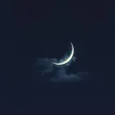 Late Night Lies