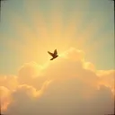 Life in Heaven Cry Love